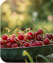 Tart Cherry Powder
